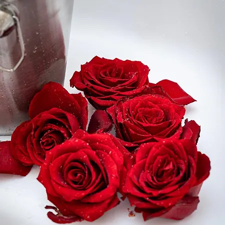 Victory Deluxe Appartement Prague