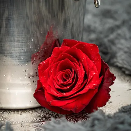 Victory Deluxe Appartement Prague